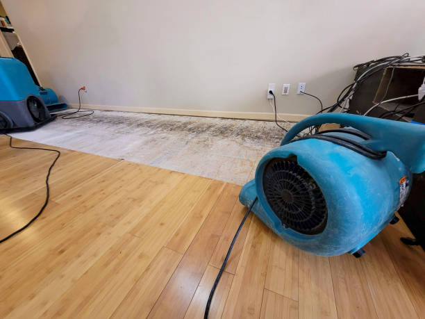 Professional Water Damage Repair technician working in Delta, UT